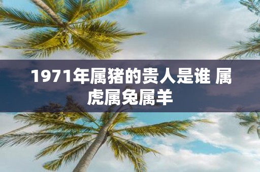 1971年属猪的贵人是谁 属虎属兔属羊