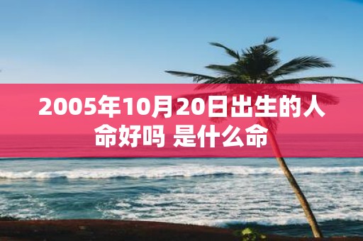 2005年10月20日出生的人命好吗 是什么命