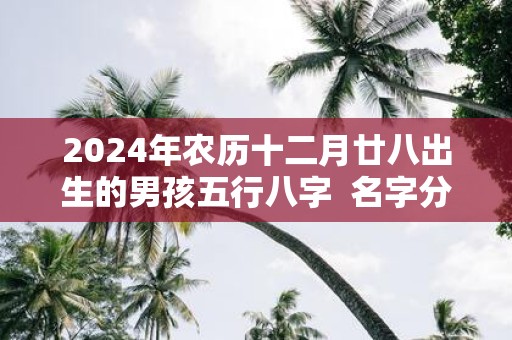 2025年农历十二月廿八出生的男孩五行八字 名字分享