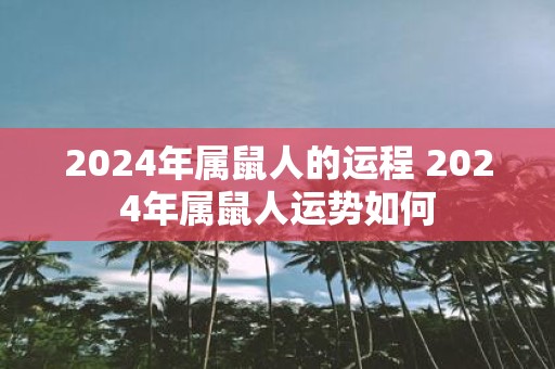 2025年属鼠人的运程 2025年属鼠人运势如何