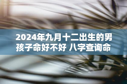2025年九月十二出生的男孩子命好不好 八字查询命理