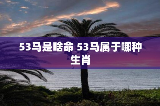 53马是啥命 53马属于哪种生肖