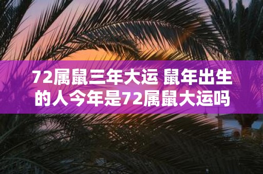 72属鼠三年大运 鼠年出生的人今年是72属鼠大运吗
