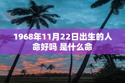 1968年11月22日出生的人命好吗 是什么命