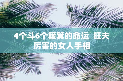 4个斗6个簸箕的命运 旺夫厉害的女人手相