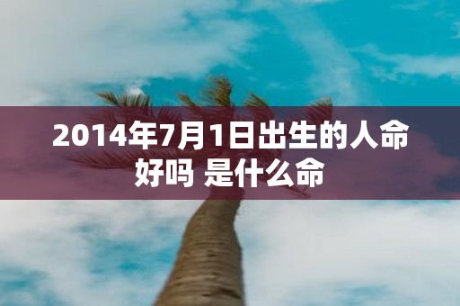 2014年7月1日出生的人命好吗 是什么命