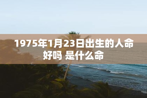 1975年1月23日出生的人命好吗 是什么命