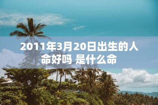 2011年3月20日出生的人命好吗 是什么命