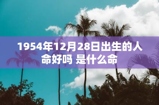 1954年12月28日出生的人命好吗 是什么命