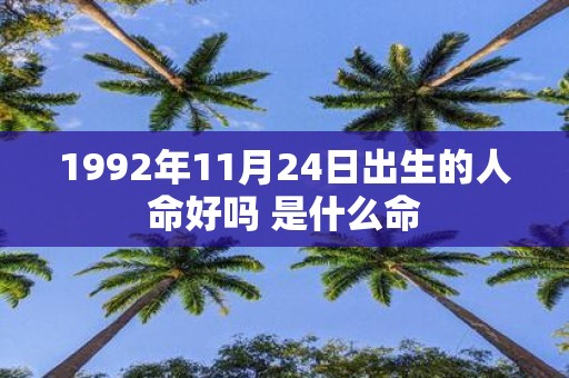 1992年11月24日出生的人命好吗 是什么命