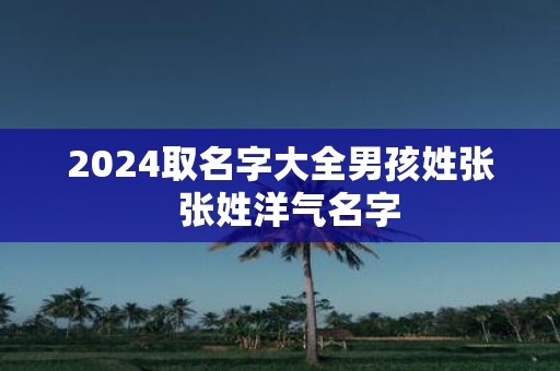 2025取名字大全男孩姓张 张姓洋气名字