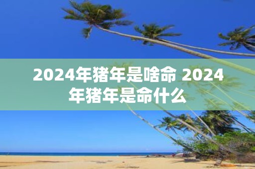 2025年猪年是啥命 2025年猪年是命什么