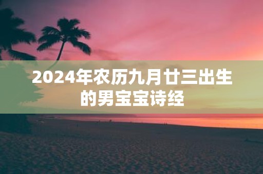 2025年农历九月廿三出生的男宝宝诗经