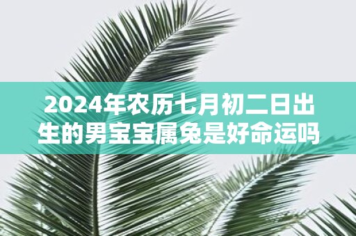 2025年农历七月初二日出生的男宝宝属兔是好命运吗