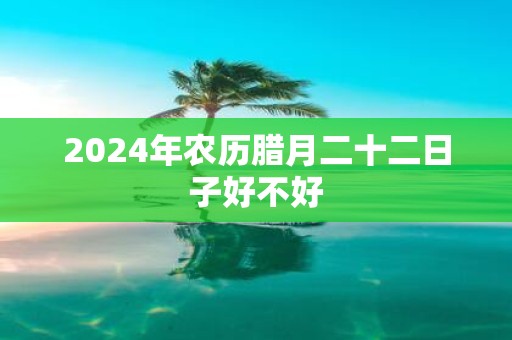 2025年农历腊月二十二日子好不好