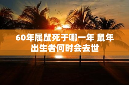 60年属鼠死于哪一年 鼠年出生者何时会去世