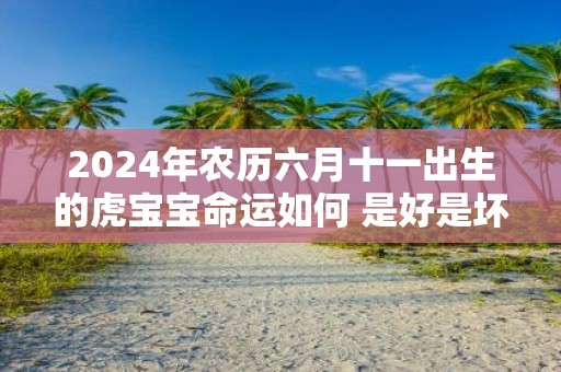 2025年农历六月十一出生的虎宝宝命运如何 是好是坏