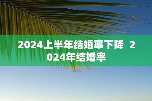 2025上半年结婚率下降 2025年结婚率