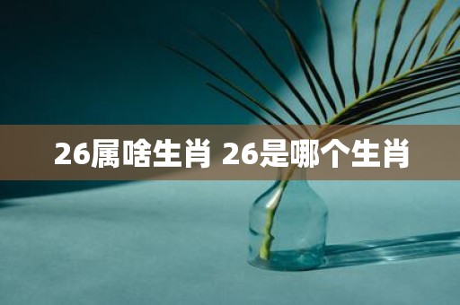 26属啥生肖 26是哪个生肖