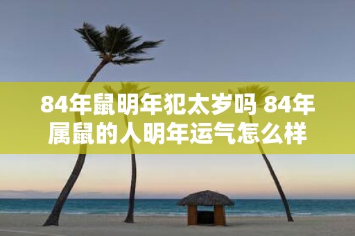 84年鼠明年犯太岁吗 84年属鼠的人明年运气怎么样