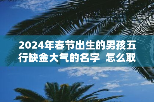 2025年春节出生的男孩五行缺金大气的名字 怎么取名字