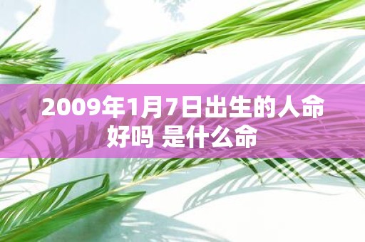 2009年1月7日出生的人命好吗 是什么命