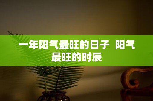 一年阳气最旺的日子 阳气最旺的时辰