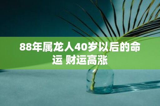 88年属龙人40岁以后的命运 财运高涨