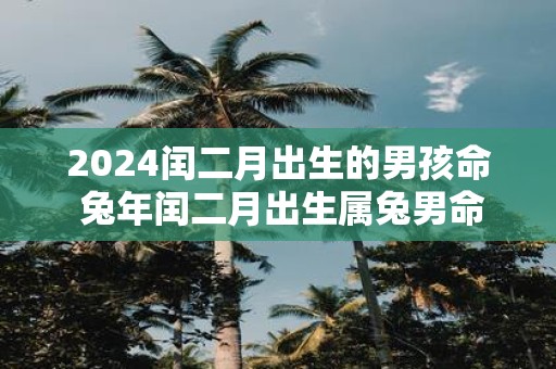 2025闰二月出生的男孩命 蛇年闰二月出生属兔男命运