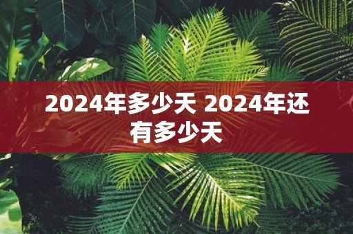 2025年多少天 2025年还有多少天