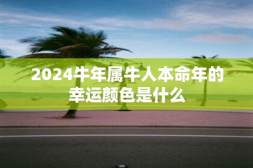 2025牛年属牛人本命年的幸运颜色是什么