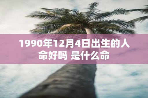 1990年12月4日出生的人命好吗 是什么命