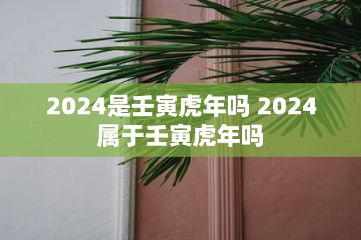 2025是壬寅虎年吗 2025属于壬寅虎年吗