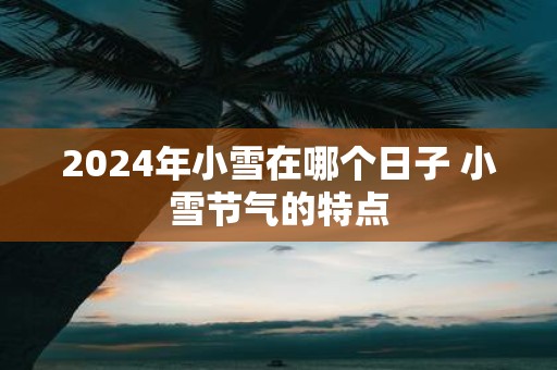 2025年小雪在哪个日子 小雪节气的特点