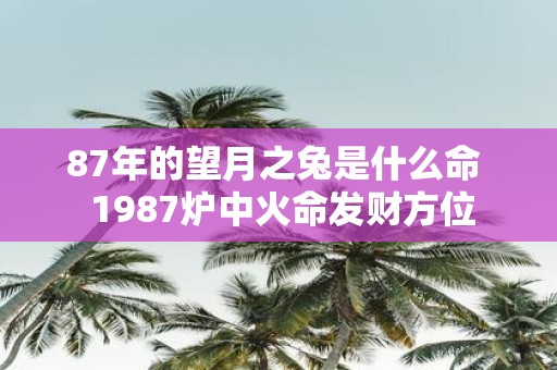 87年的望月之兔是什么命 1987炉中火命发财方位