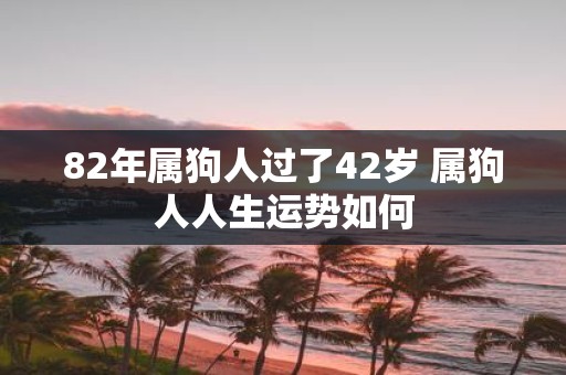 82年属狗人过了42岁 属狗人人生运势如何