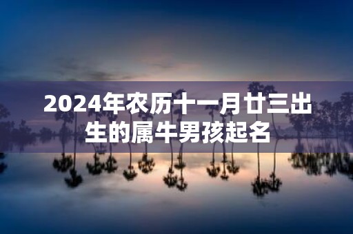2025年农历十一月廿三出生的属牛男孩起名