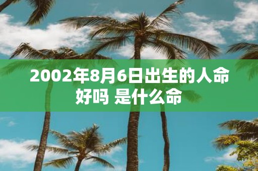 2002年8月6日出生的人命好吗 是什么命