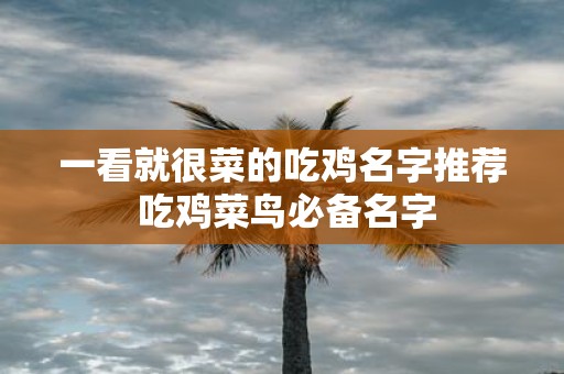 一看就很菜的吃鸡名字推荐 吃鸡菜鸟必备名字