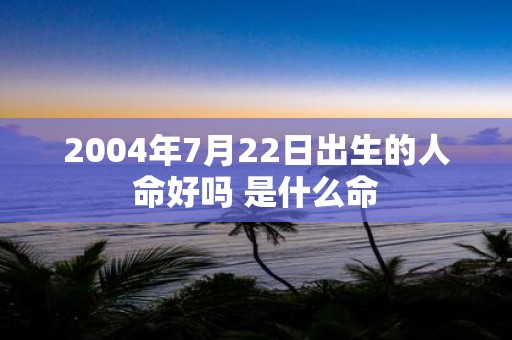 2004年7月22日出生的人命好吗 是什么命