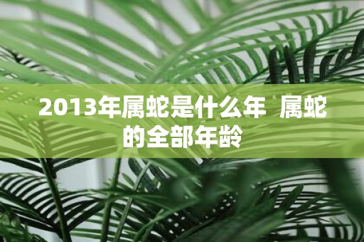 2013年属蛇是什么年 属蛇的全部年龄
