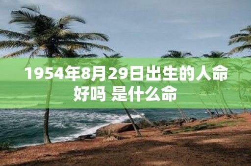 1954年8月29日出生的人命好吗 是什么命