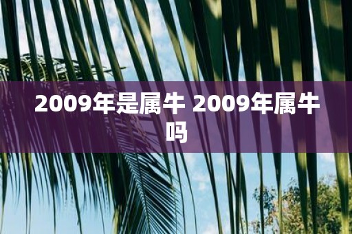 2009年是属牛 2009年属牛吗