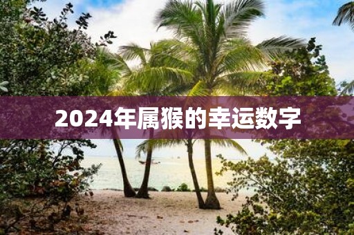 2025年属猴的幸运数字