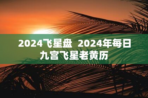 2025飞星盘 2025年每日九宫飞星老黄历