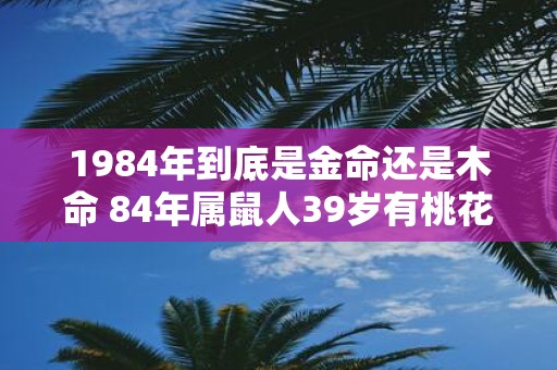 1984年到底是金命还是木命 84年属鼠人39岁有桃花劫