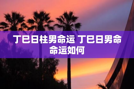 丁巳日柱男命运 丁巳日男命命运如何