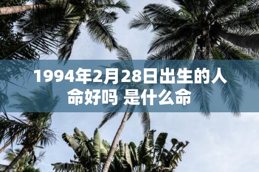1994年2月28日出生的人命好吗 是什么命