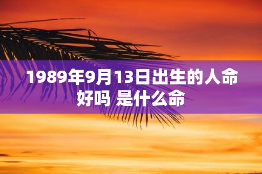 1989年9月13日出生的人命好吗 是什么命
