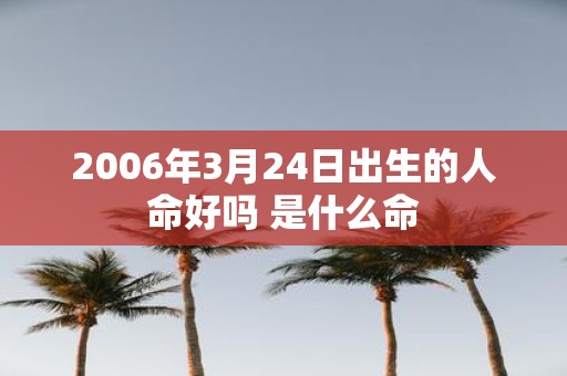 2006年3月24日出生的人命好吗 是什么命